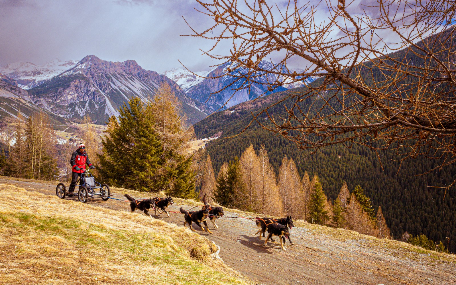 HUSKY VILLAGE IN VALDIDENTRO