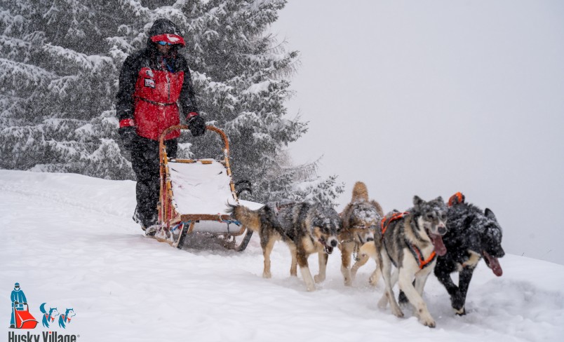 HUSKY VILLAGE IN VALDIDENTRO